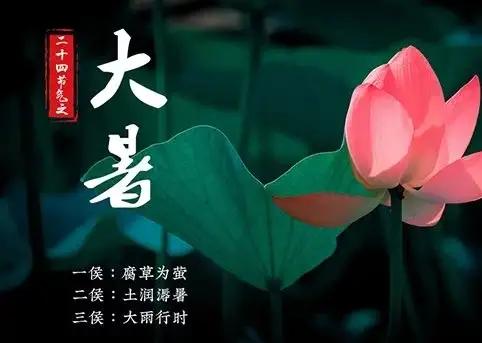 咏荷的诗句及赏析,历代咏荷的诗一百首