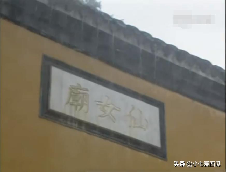 上错花轿嫁对郎系列电视剧,上错花轿嫁对郎同期好看的电视剧