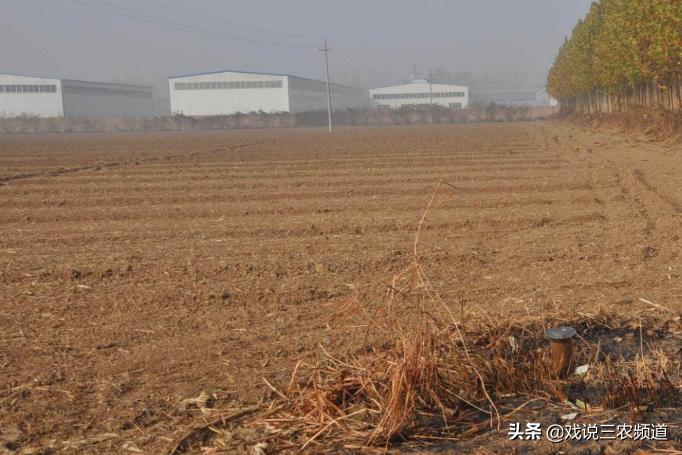 2023年农村种植补贴多少钱一亩,农业补贴下半年多少亩才有补贴