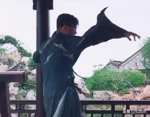 李云天:少年已过青山外