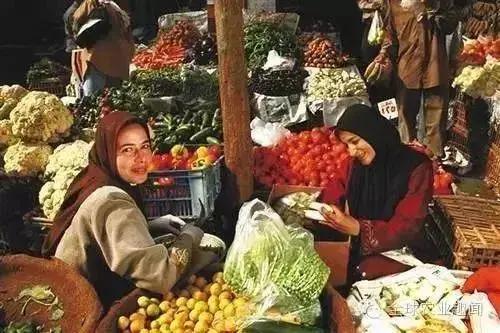 以色列水肥一体化,以色列高科技农业水肥一体化