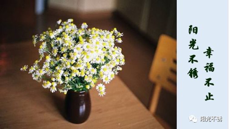 管理者一定要警惕的事,管理者警惕员工