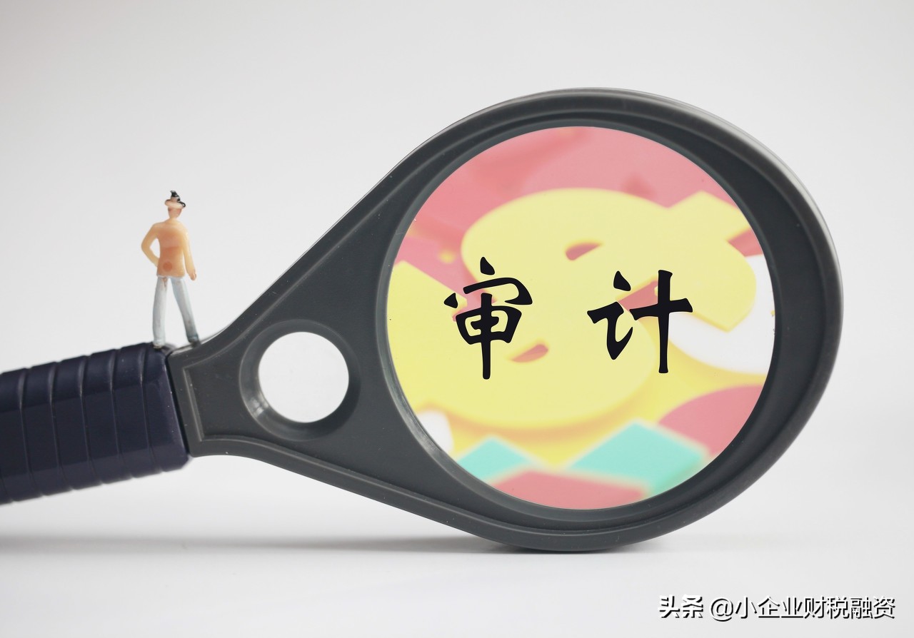 会计监督检查典型案例,会计监督处罚