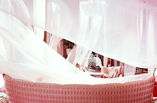 穿粉色就是娘娘腔?让小李子和猫王告诉你什么叫“油而不腻”