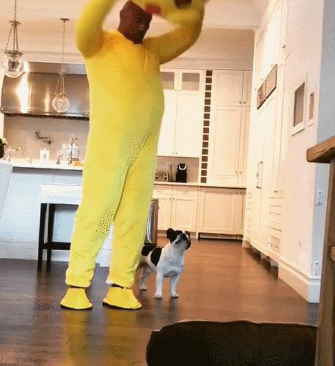 巨石强森的幸福生活,巨石强森2019婚姻