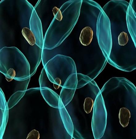 肢端白癜风最佳治疗方法,肢端型白癜风怎么治疗最好