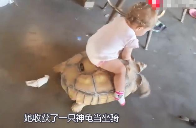 奶奶用大鹅玩娃,奶奶用大白鹅带娃