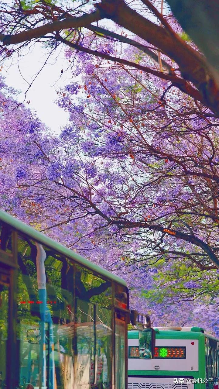 被大理的美景所折服,被丽江的风景美到了