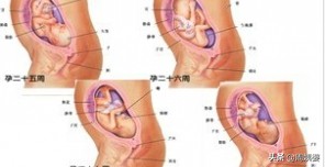 新生命如何诞生,新生命从哪开始的