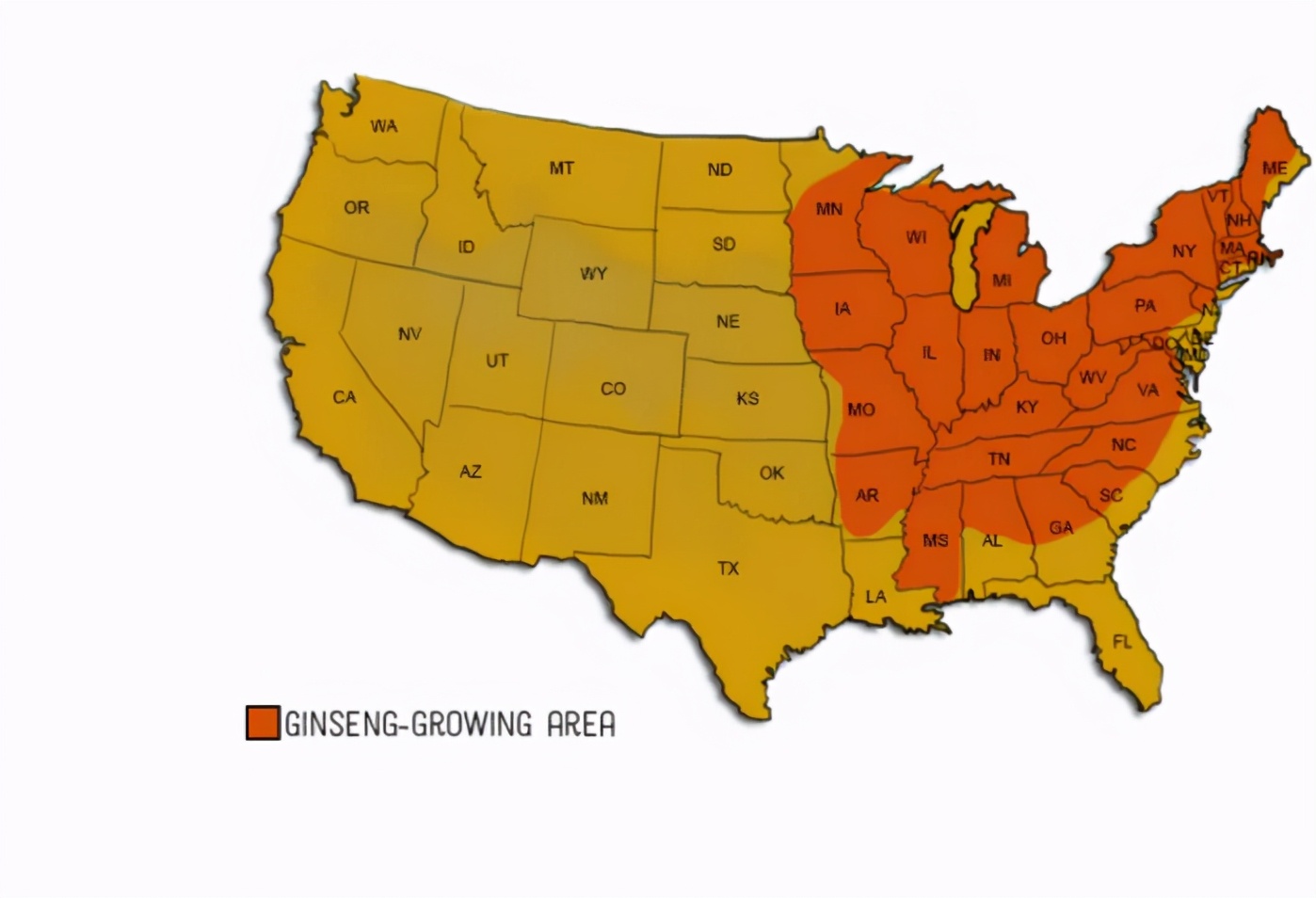 国外挖西洋参,美国挖西洋参许可证