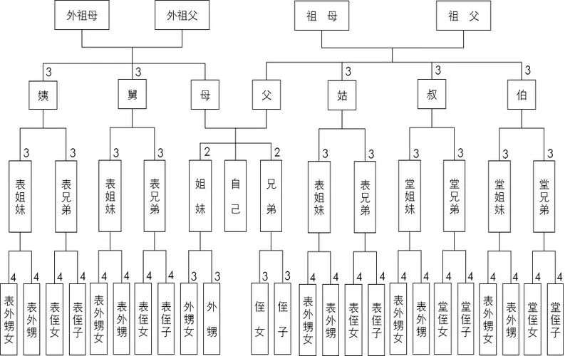 收养登记注意事项,收养登记证办理需要什么手续