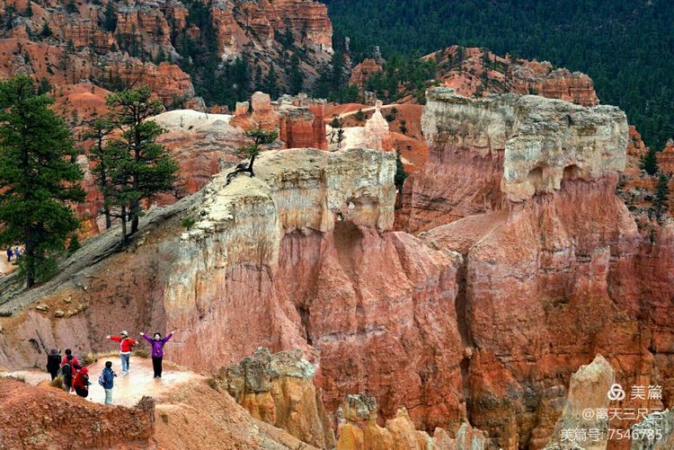 鍖楃編鏋儏闃虫柊,鍖楃編鏋儏鍥剧墖