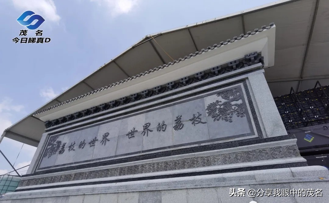 茂名荔枝大会,茂名市520荔枝产业大会