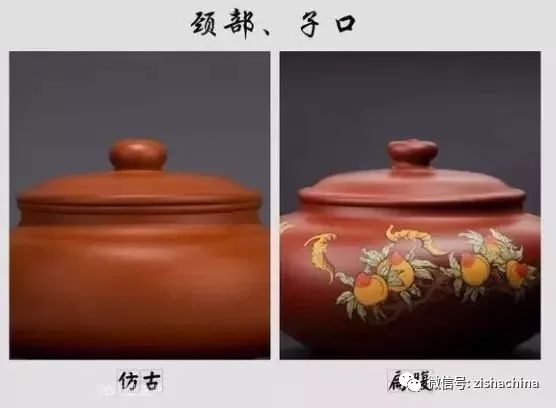 同卵双胞胎是同性还是异性,同卵双胞胎的dna一样吗