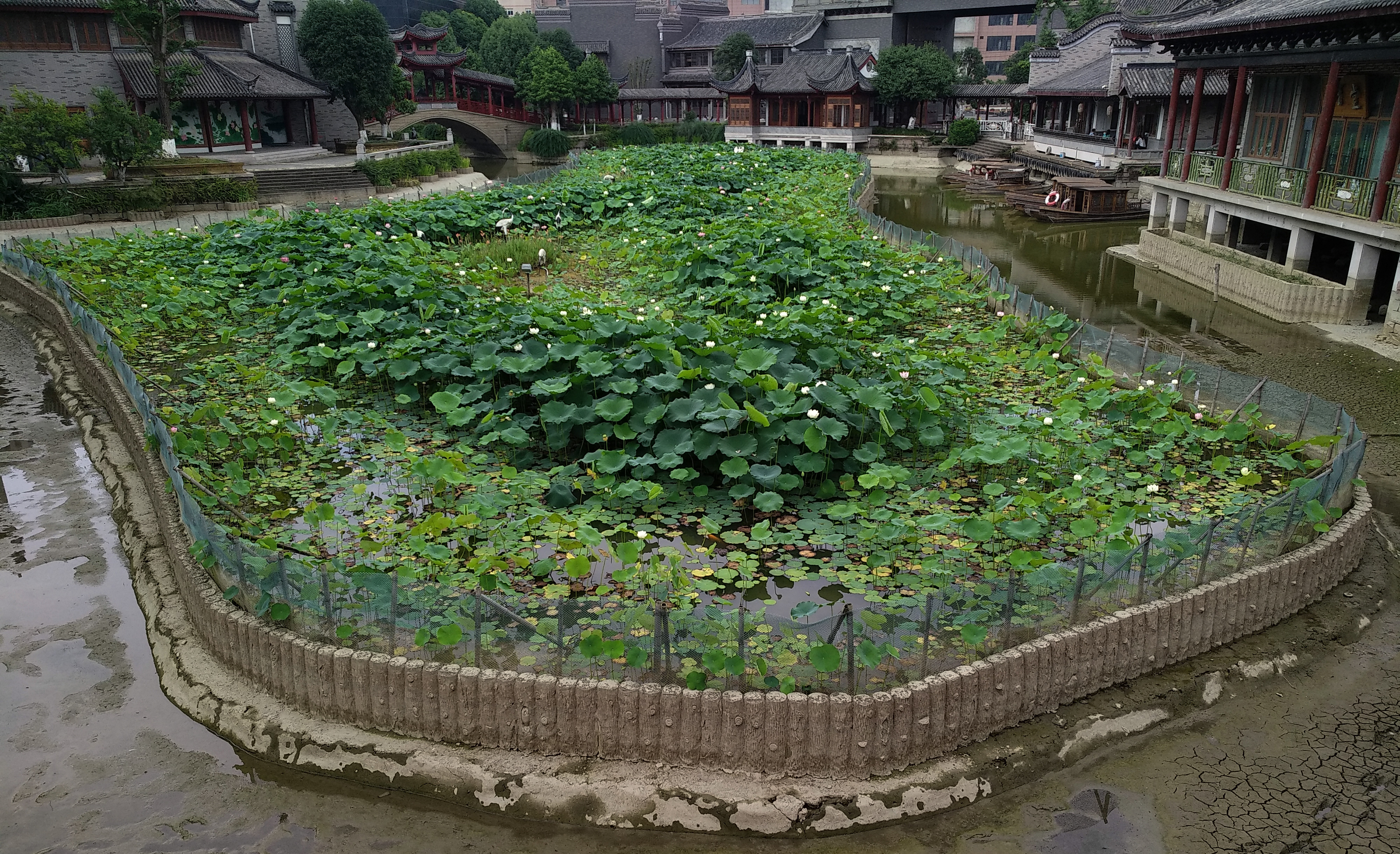 成都龙潭水乡最新消息,成都龙潭水乡别墅区