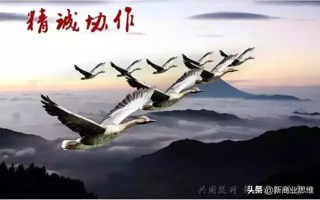 能不能做公司的法定代表人,做公司领导真不容易