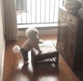 每年的今天总会想起很多往事,张国荣抑郁症症状