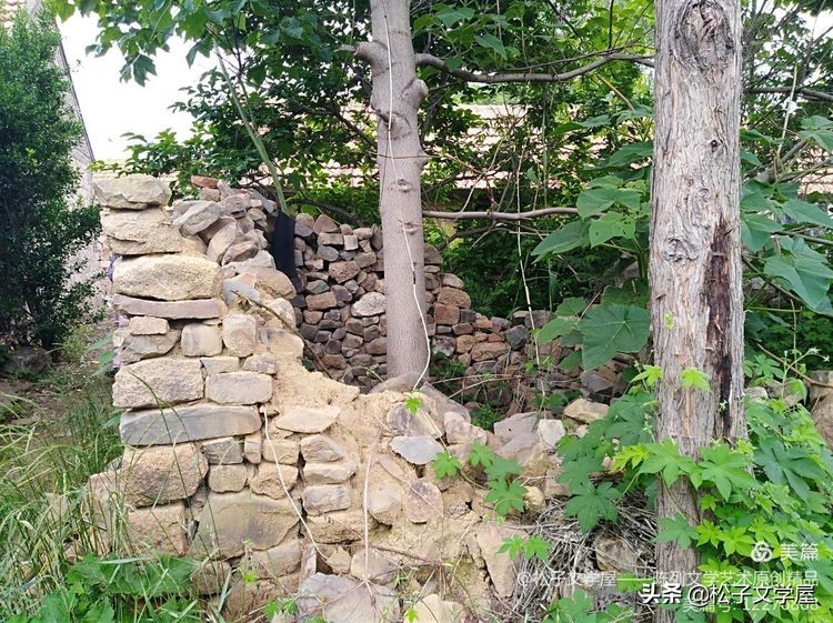 山东海阳李家庄村名的由来,海阳李家庄平房