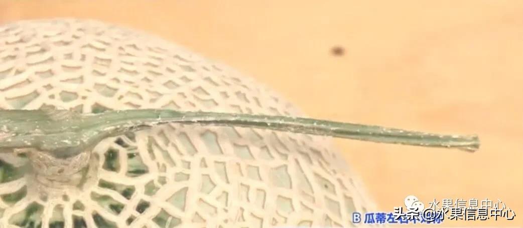 日本水果店怎么挑选,正宗日本水果店