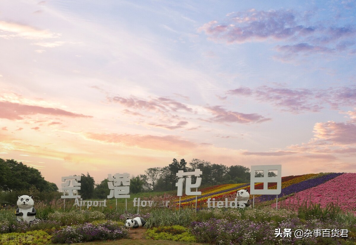 万亿gdp城市地铁排名,成都双流区城市轨道交通