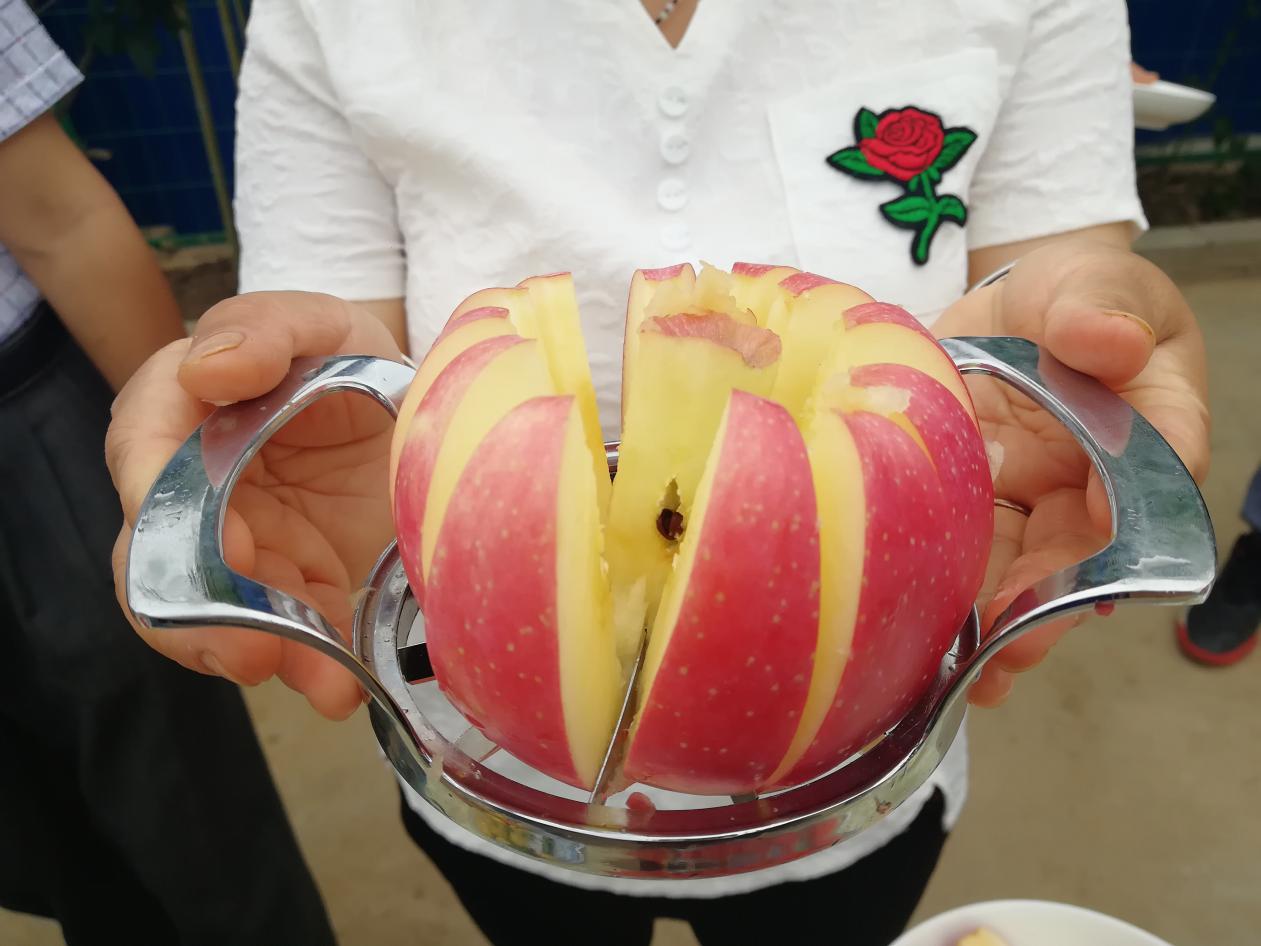 陕西扶风樱桃映红致富路,图说卢氏深山农户走上甜蜜致富路