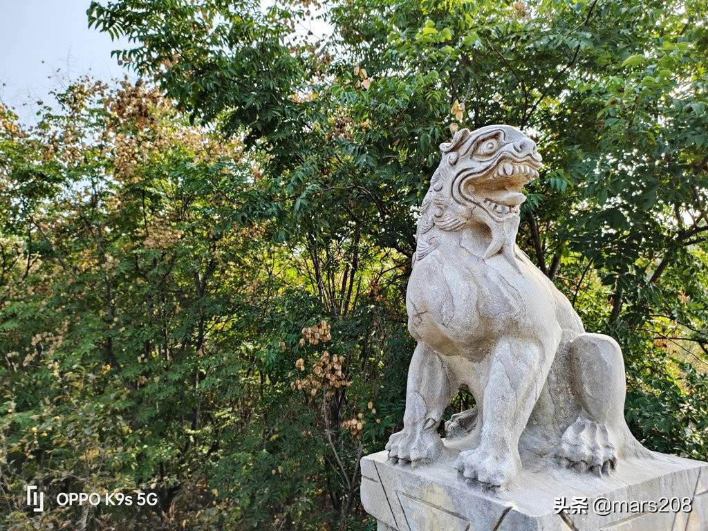 oppok9s和红米note10pro哪个好,oppok9s测评值得购买吗