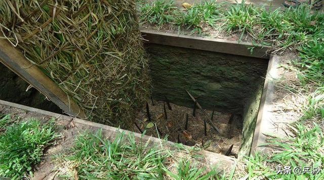 越军遍设竹尖陷阱,外加毒蛇,美军闻风丧胆,不敢收尸