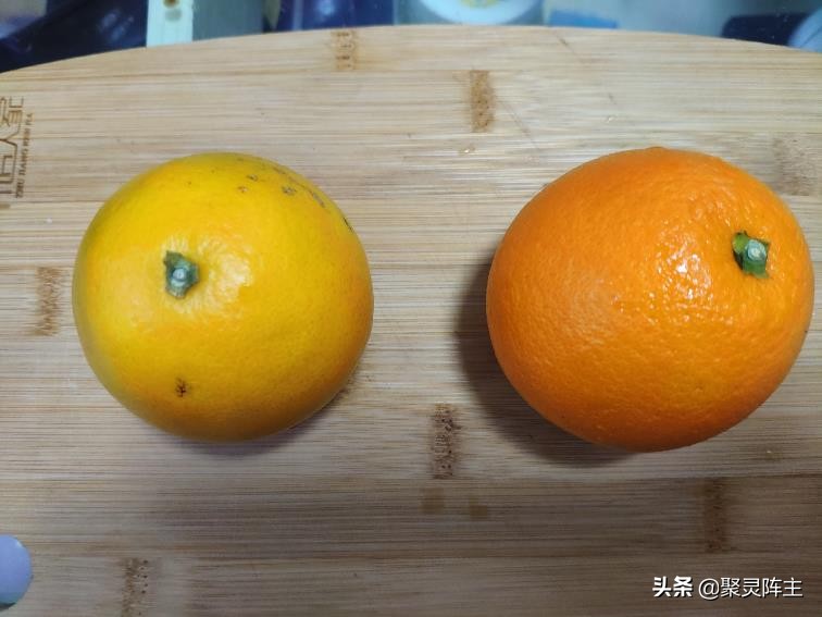 云南褚橙和赣南脐橙区别,褚橙与赣南脐橙哪个好