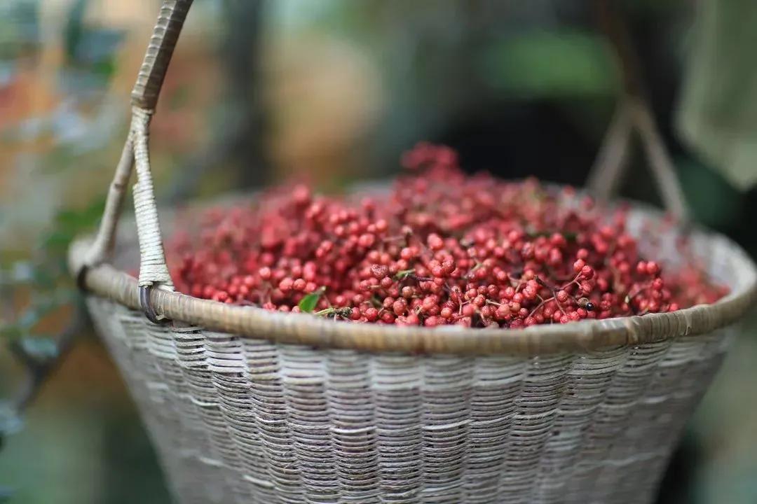 张宏文:汉源.西路花椒