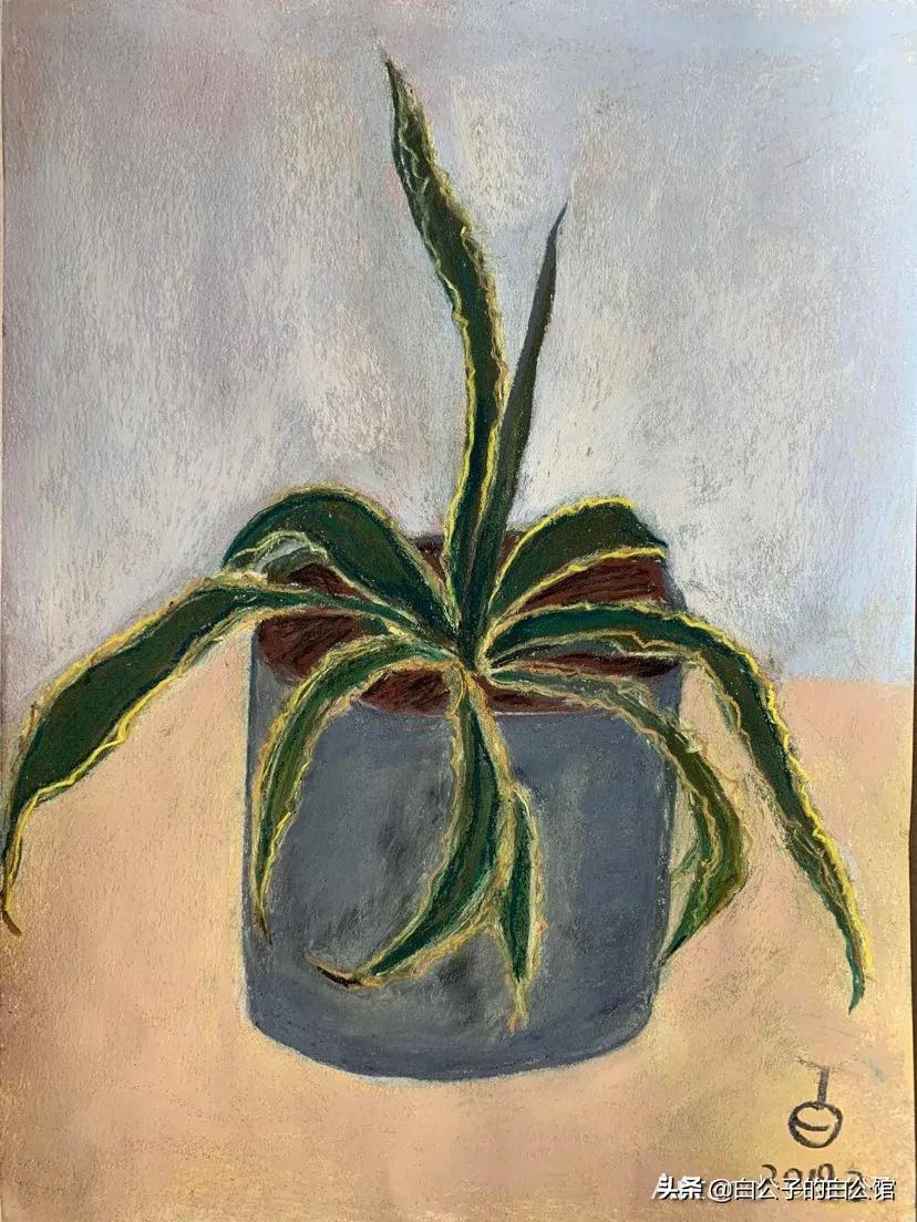 花香袭人抖音,花香袭人电影免费观看