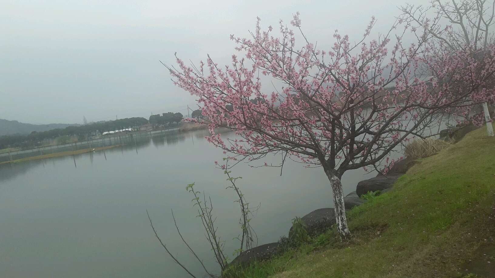 北有南开南有育德,北有南开