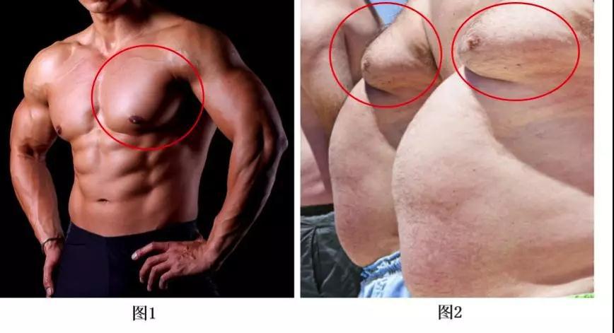 男人的胸肉太大怎么解决,男生胸大尴尬穿衣小妙招