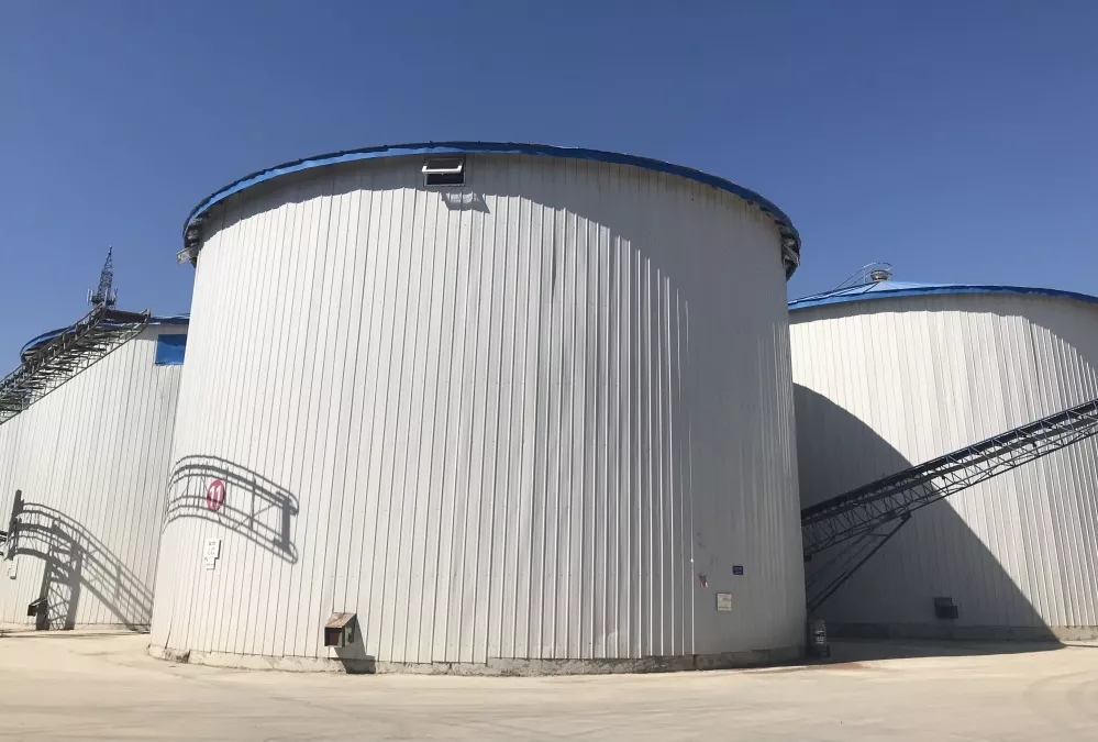 初遇这粒寿司米，一见却倾心