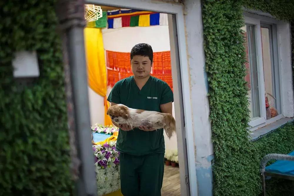 「阿里巴巴是个叔叔吗？」购物车外，用力生活的他们