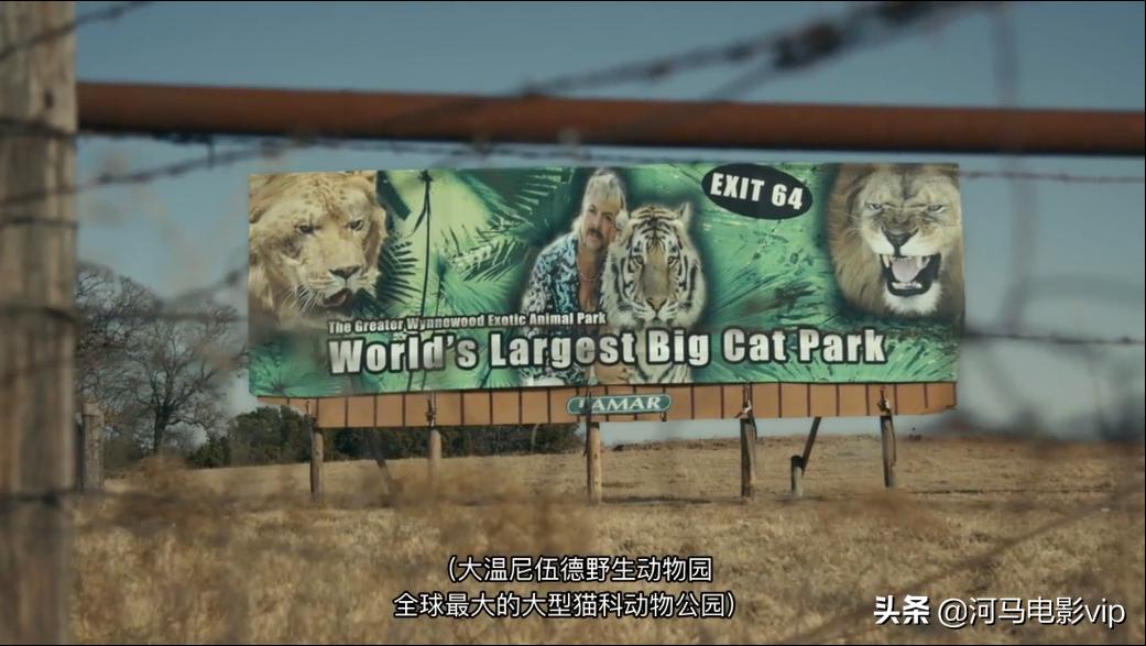 这部魔幻纪录片，在美国竟然比疫情还火！