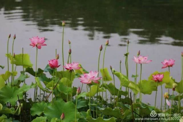 西乡周边景色美的地方,西乡哪里有夜景好看的