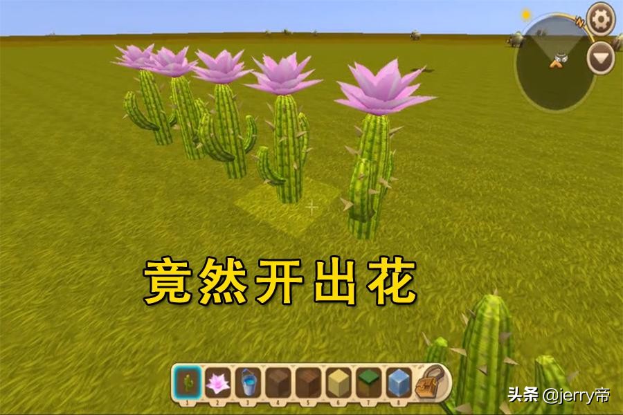 迷你世界仙人掌的种子怎么来,迷你世界如何让仙人掌开花