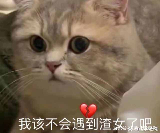 我咋办啊表情包,表情包我能怎么办