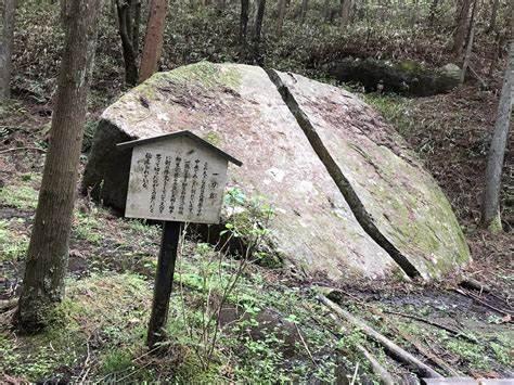 仁王大太刀武功,仁王太刀图片大全