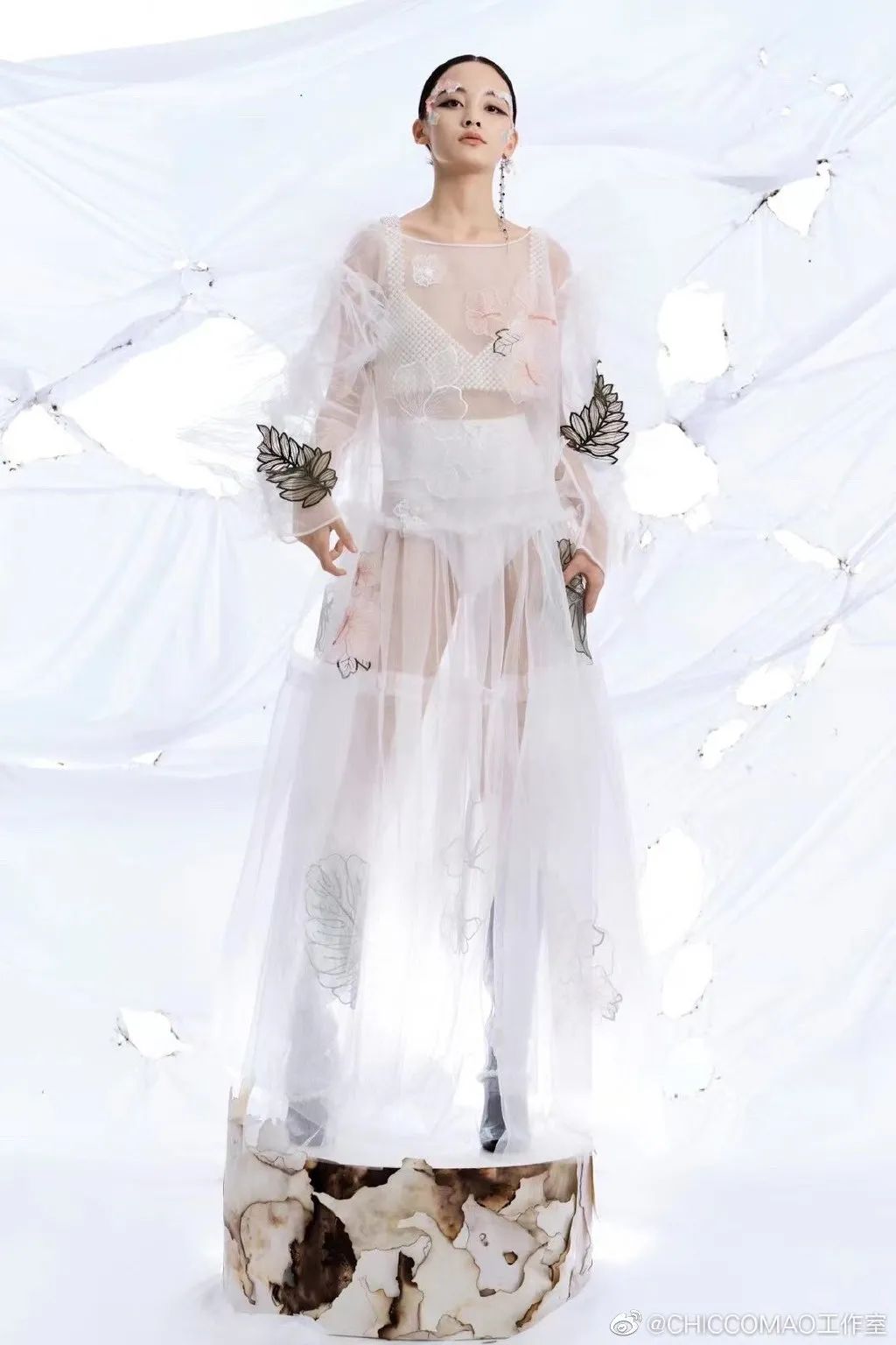 毛宝宝设计师抖音,毛宝宝设计师西服