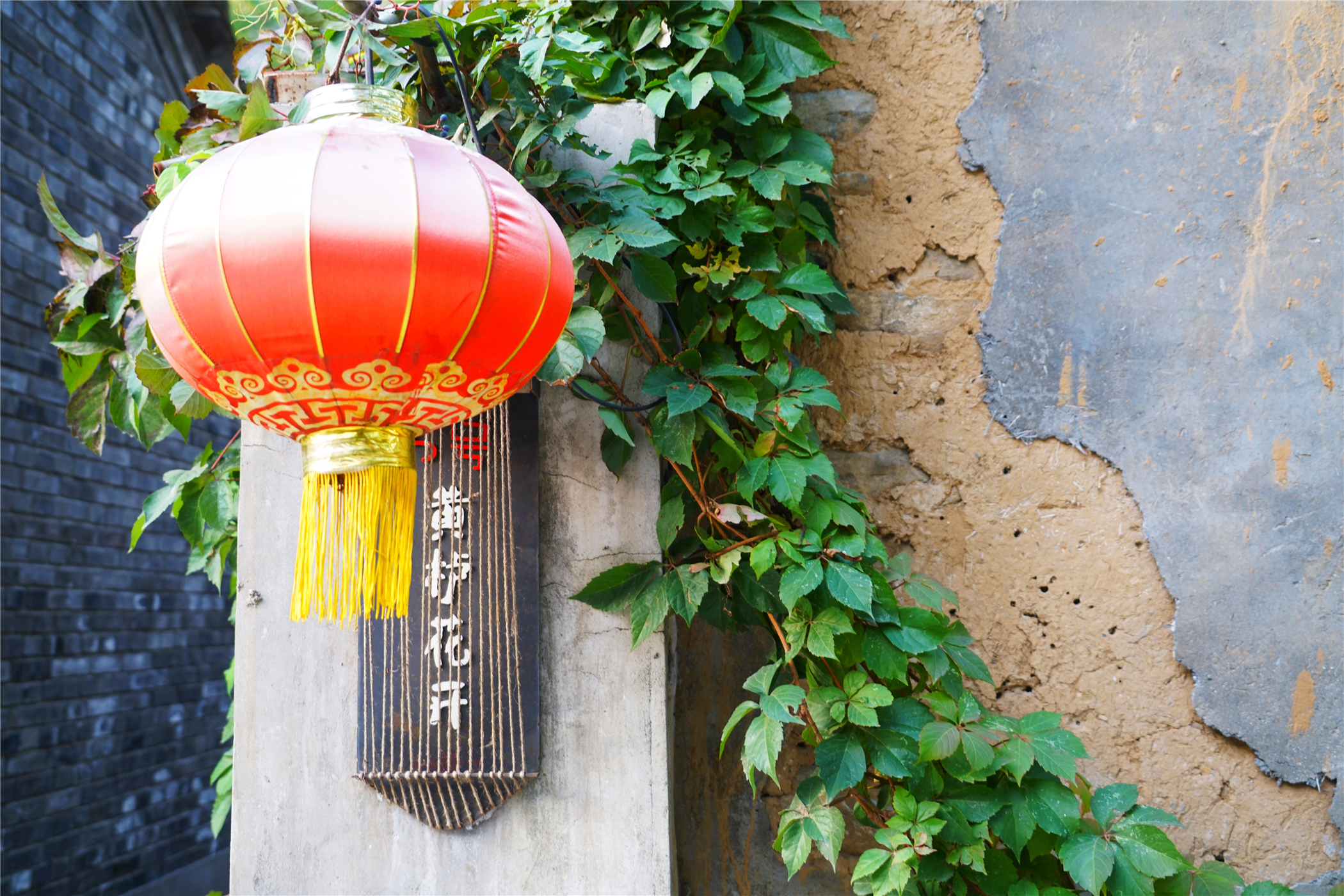 赏红叶最佳目的地,房山坡峰岭红叶最佳观赏