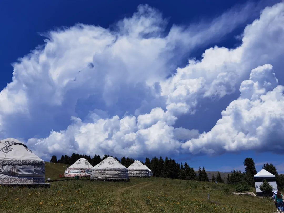 伊犁最美的50处绝色美景,伊犁最美的小众景点