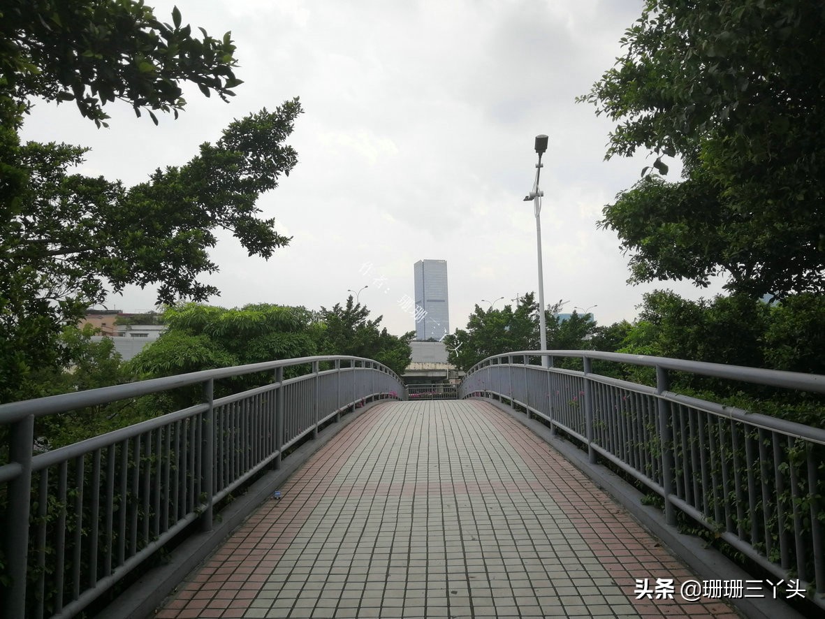 广州最厉害的城中村,广州最厉害城中村