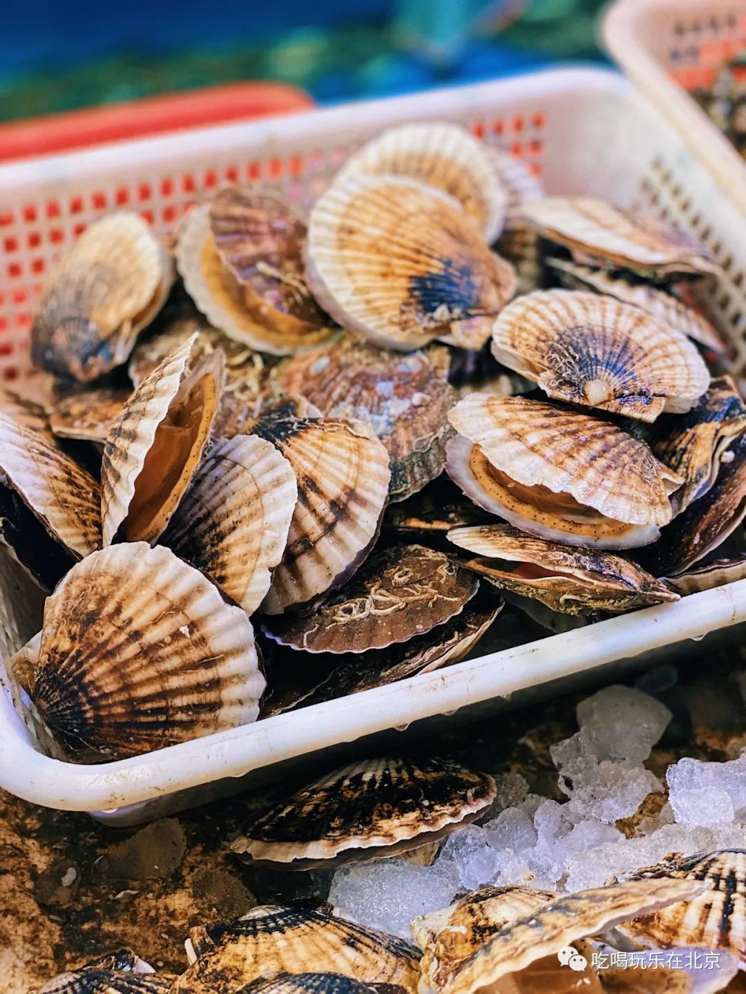 朝阳区海鲜市场,北京朝阳区海鲜市场