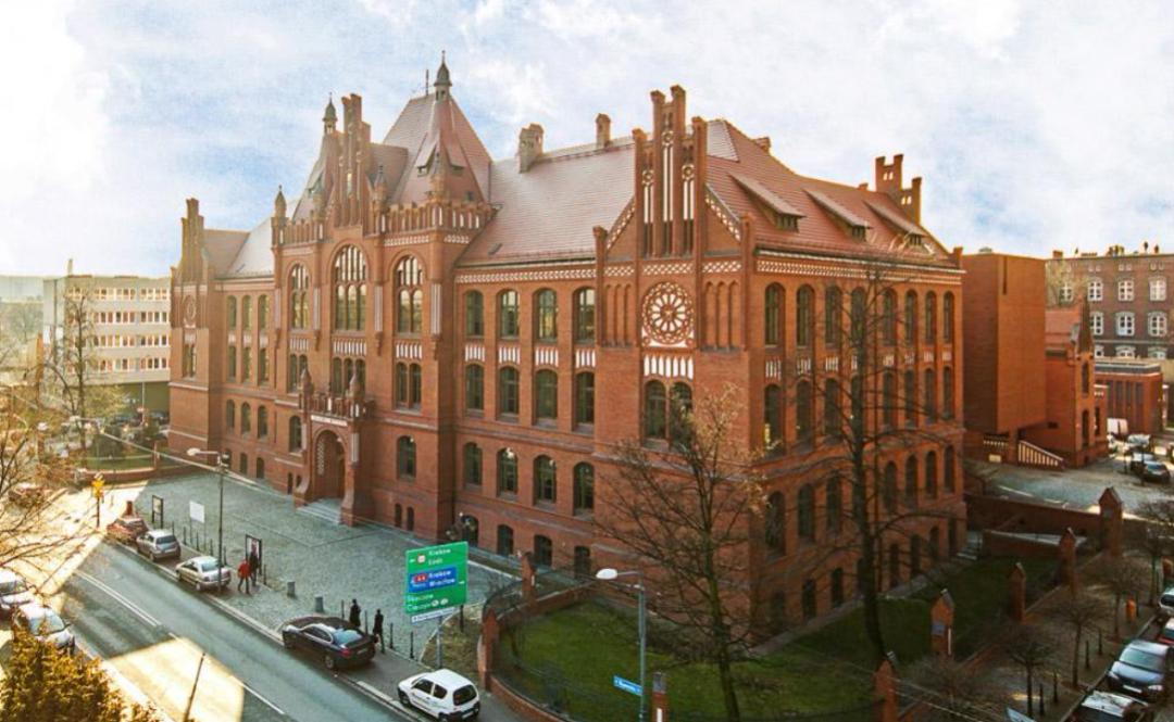 閫傚悎灏忓寮圭殑鐖靛＋閽㈢惔,鎬庢牱寮瑰ソ鐖靛＋閽㈢惔