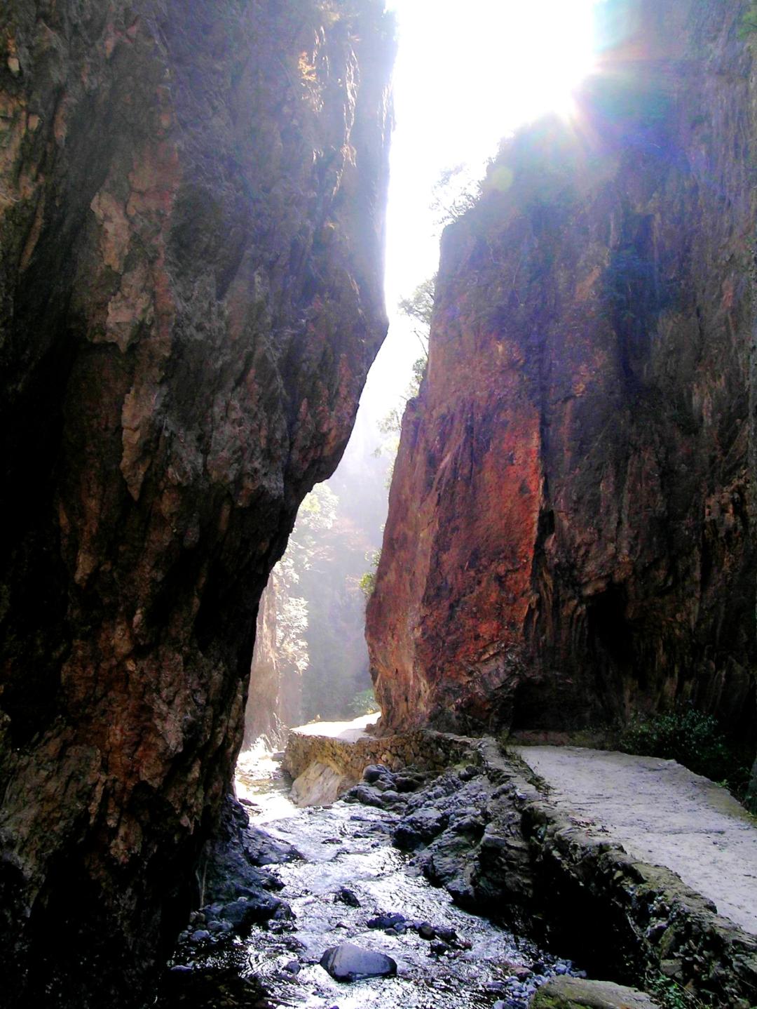 放假了，就去旬阳羊山吸氧、养心，洋洋自得拍“抖音”吧！