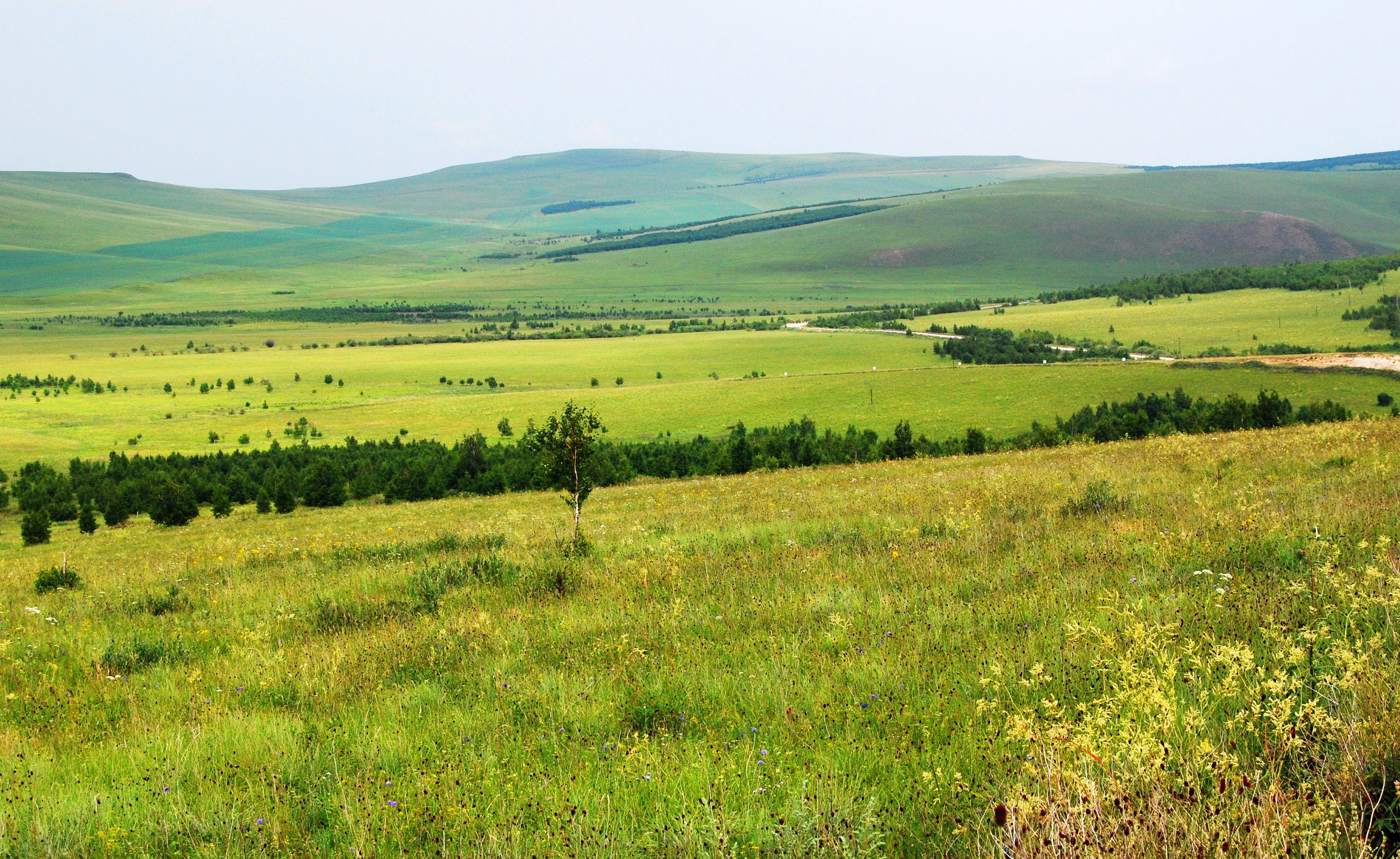 一辆车,从东乌旗沿中蒙边境公路到阿尔山,漫长边关寻迹历史遗存