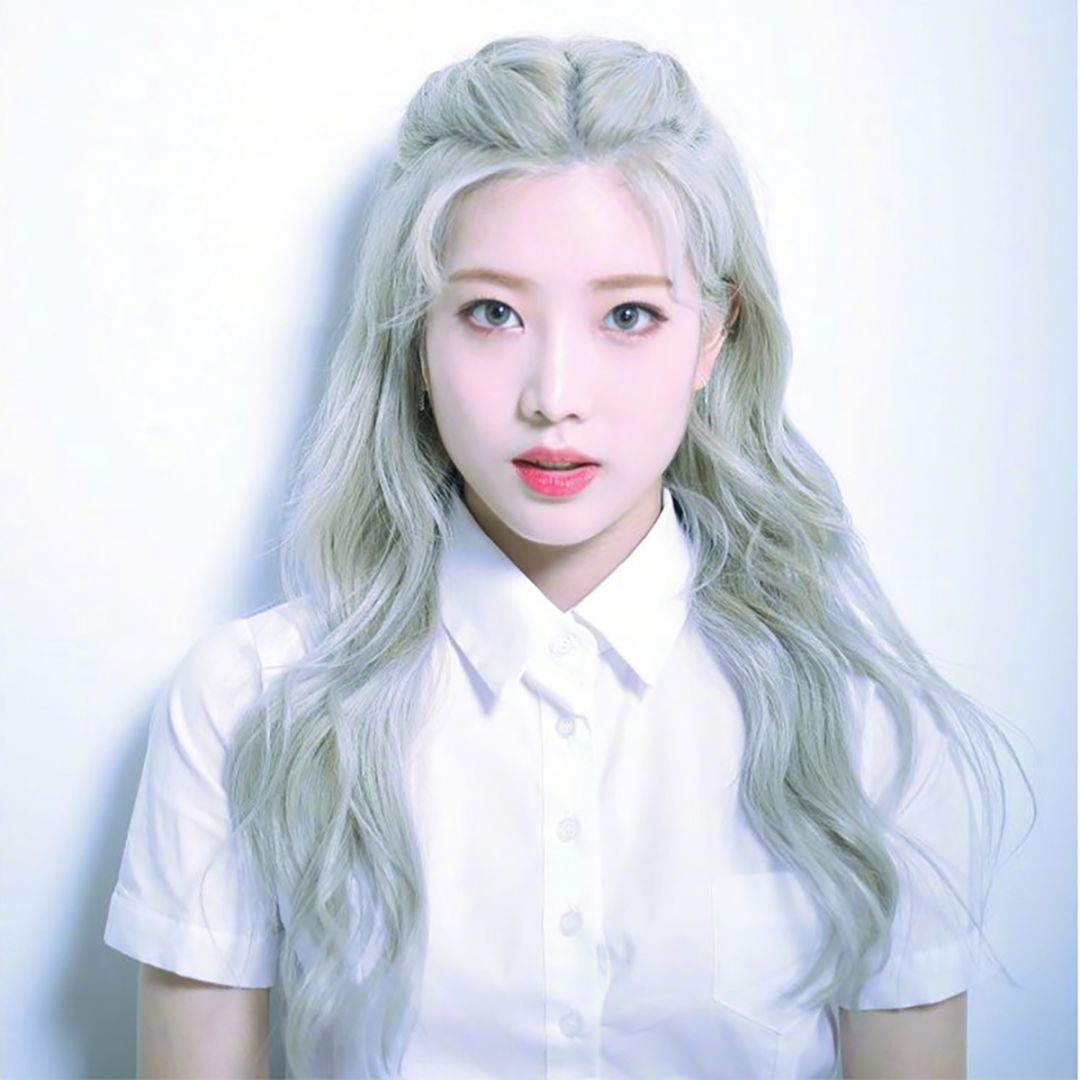 loona女团介绍,loona女团资料