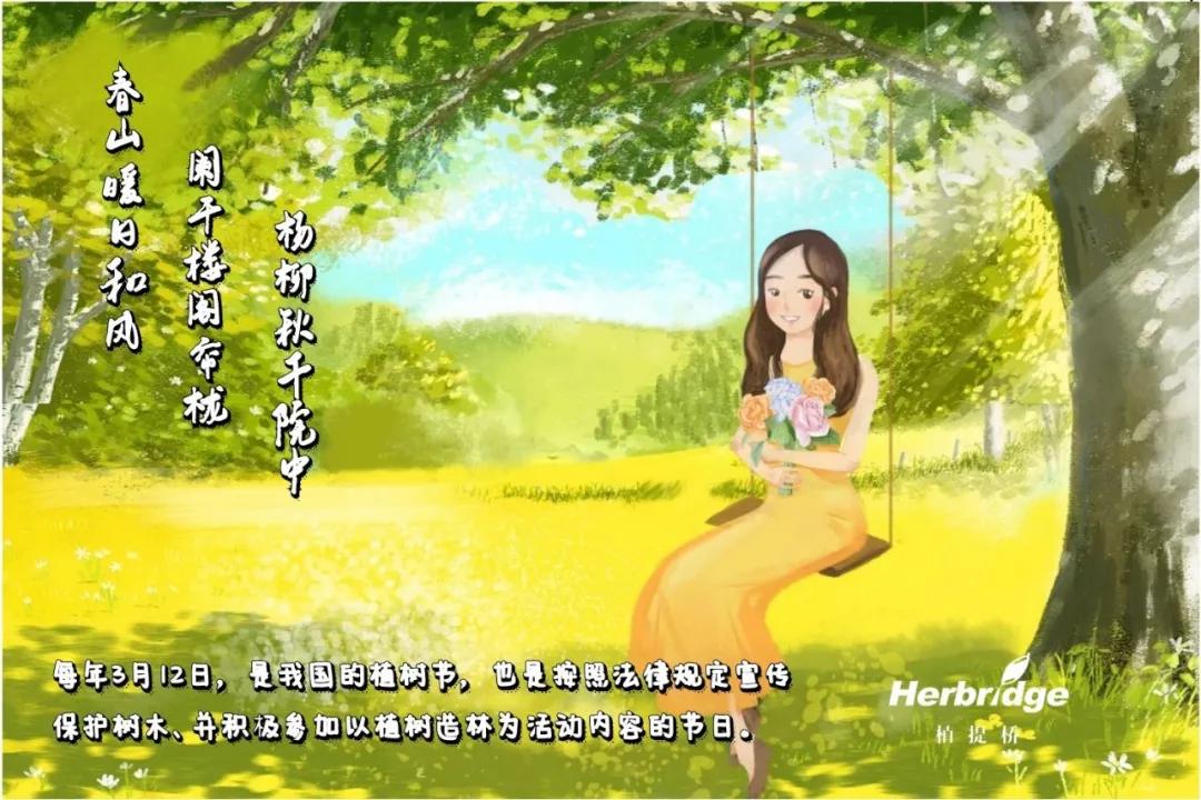 盘一盘树木在营养健康方面为人类做出的贡献