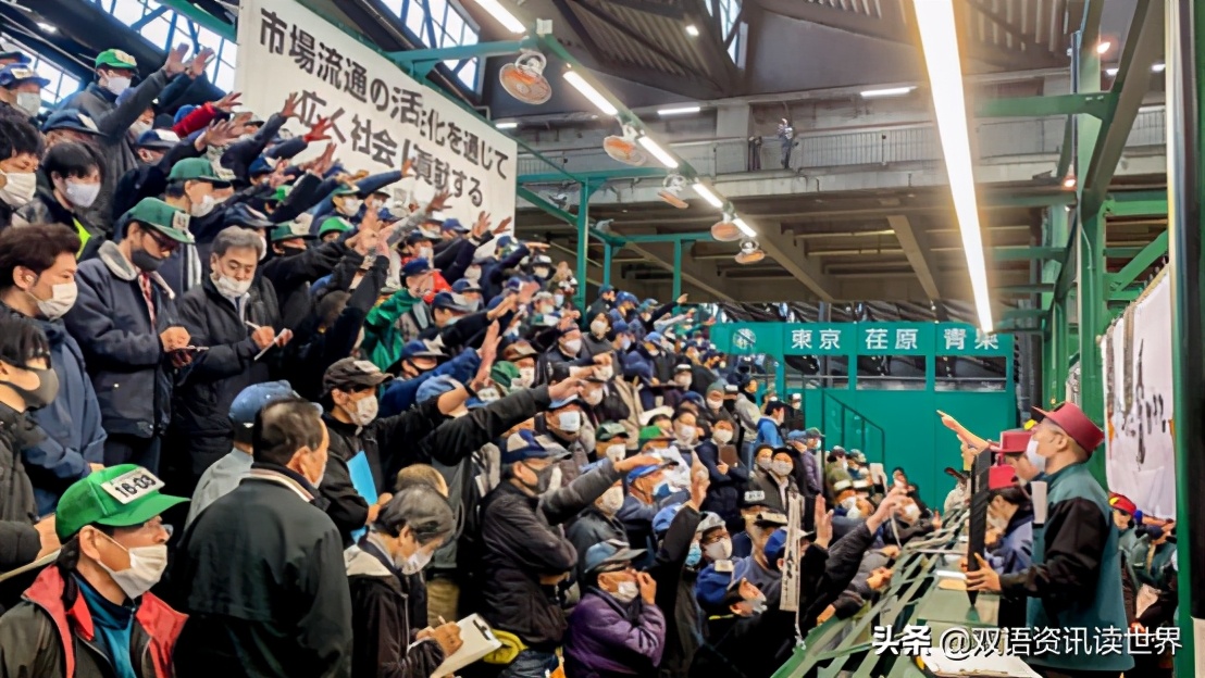 日本一箱桔子多少钱,一箱砂糖橘大约多少钱